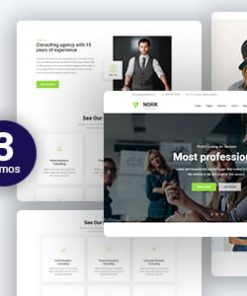 Nork - Business, Consulting WordPress Theme