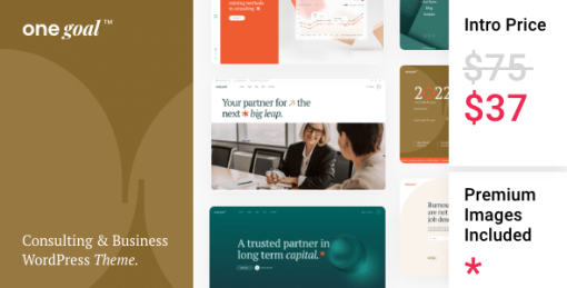 One Goal - Business Consulting
