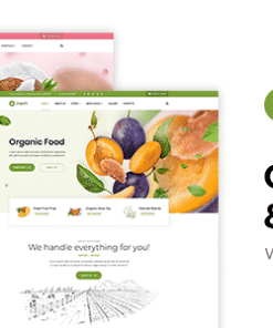 OrgaFit - Organic and Health WordPress Theme