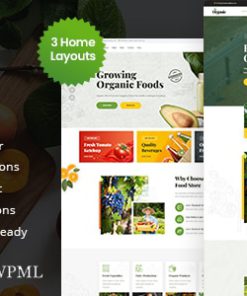 Orgonic - Organic Food Store WordPress Theme