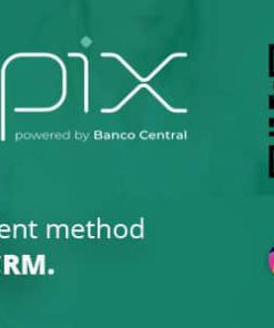 Pix payment method for RISE CRM