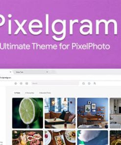 Pixelgram - The Ultimate PixelPhoto Theme