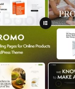 Promo - Landing Pages for Online Products WordPress Theme