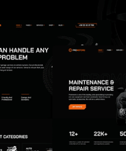 ProMotors - Car Service and Detailing WordPress Theme