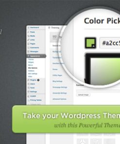 ProPanel - Wordpress Theme Options Panel