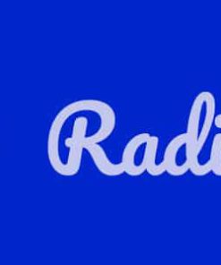 Radio App - Panel/Web/Mobile (Flutter-Laravel-Vuejs)