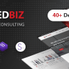 RedBiz - Finance & Consulting Multi-Purpose WordPress Theme