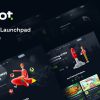 Risebot - Metaverse IGO Launchpad HTML Template