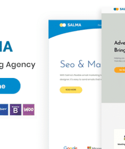 Salma - SEO Marketing WordPress Theme