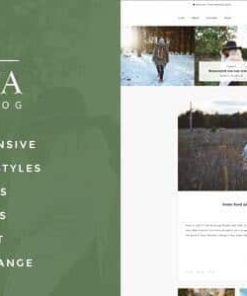 Schema Elegant Responsive WordPress Blog Theme