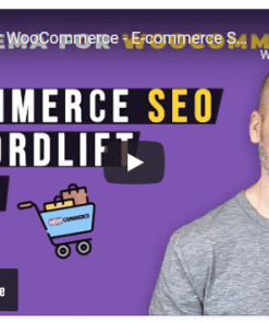E-commerce SEO by WordLift 1.2.9