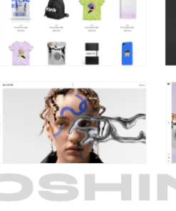 Shoshin - Digital Agency Theme