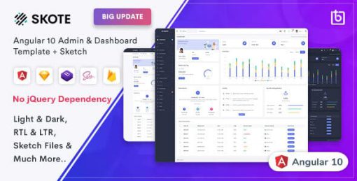 Skote - Angular 10 Admin & Dashboard Template + Sketch
