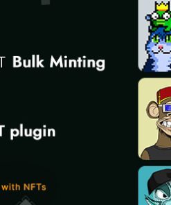 Smart NFT  - Bulk minting (Addons)