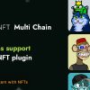 Smart NFT Multi Chain (Addons)