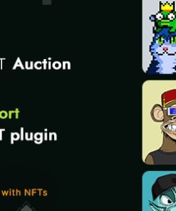 Smart NFT Standard Auction (Addons)