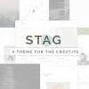 Stag - Portfolio Theme for Freelancers and Agencies