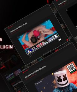 Streamit - Live video streaming  player WordPress plugin
