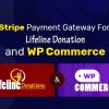 Stripe Payment Gateway for Lifeline Donations