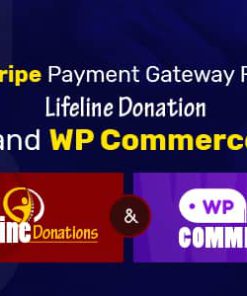 Stripe Payment Gateway for Lifeline Donations