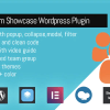 TeamPress - Team Showcase plugin
