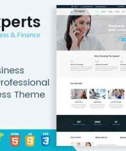The Experts - Business Consulting and Professional Services WordPress Theme