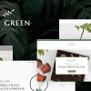 The Green - Houseplants & Gardening WordPress Theme