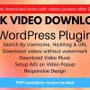 TikTok Video Downloader without Watermark - WordPress Plugin