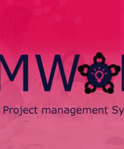 TimWork SAAS - Project Management System