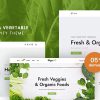 Vegenic - Organic Food Responsive Shopify Theme