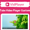 VidPlayer - YouTube Video Player Customizer