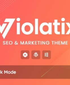 Violatix - SEO & Marketing WordPress Theme