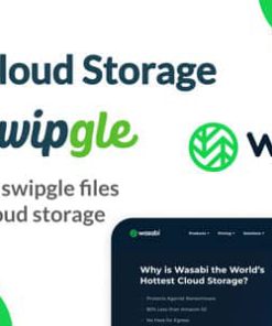 Wasabi Cloud Storage Add-on For Swipgle