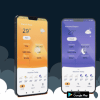 Weather App Flutter - Online Live weather app