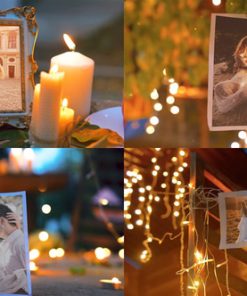 Wedding Photo Gallery -Autumn Night Garden