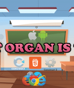 What Organ Is This? - Educational Game - HTML5 (Capx/C3p)