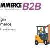 WooCommerce B2B