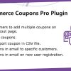 WooCommerce Coupons Pro Plugin