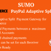 WooCommerce PayPal Adaptive Split Payment