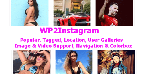 Wordpress 2 Instagram Ultimate Plugin