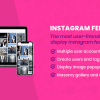 WordPress Instagram Feed Gallery