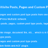 WordPress Multisite Posts, Pages and Custom Post Type Posts Sync