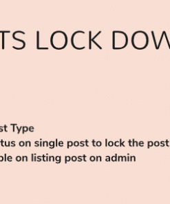 WordPress Posts Lock Down