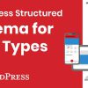 WordPress Structured Schema for Post Types