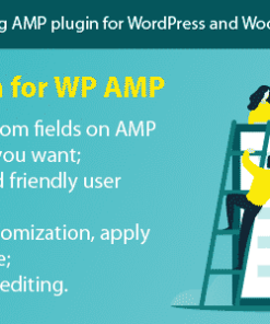WP AMP ACF (Add-on)