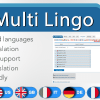 WP Multi Lingo