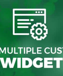 Wp Multiple Widget